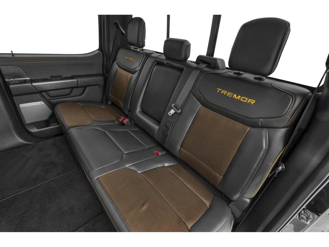 2021 Ford F-150 Tremor